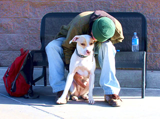 CHSOS - Monthly Newsletter